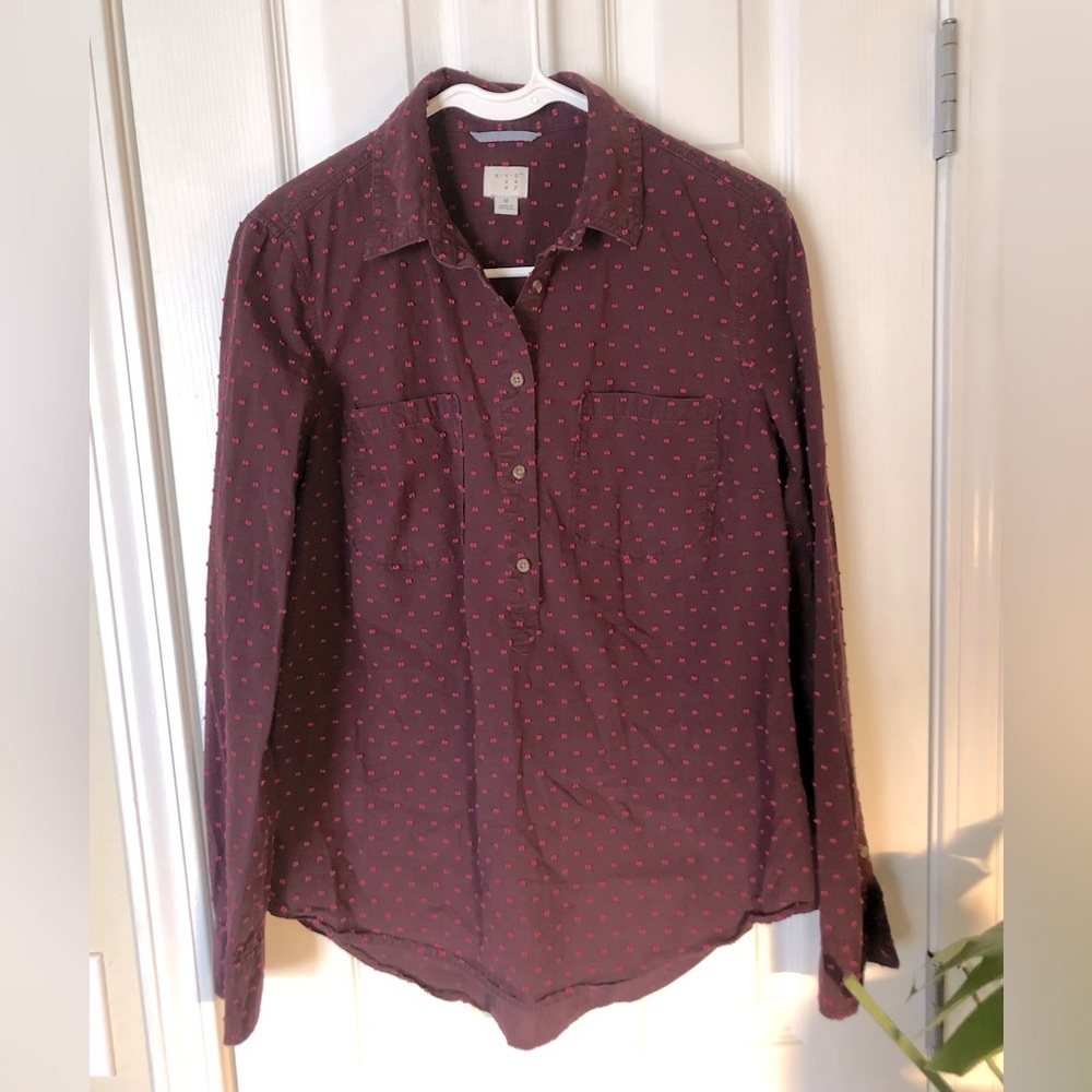 a new day 1/4 button down!